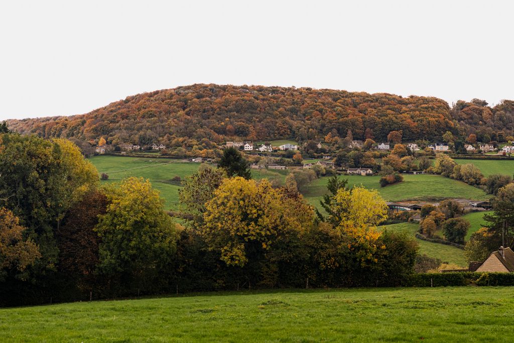 Property photo 3 of 40 318458 - Whhr-56.Jpg