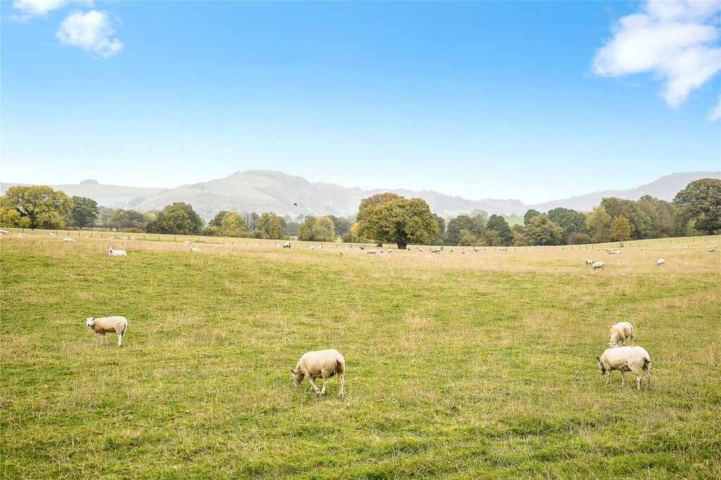 Property photo 3 of 20 Views