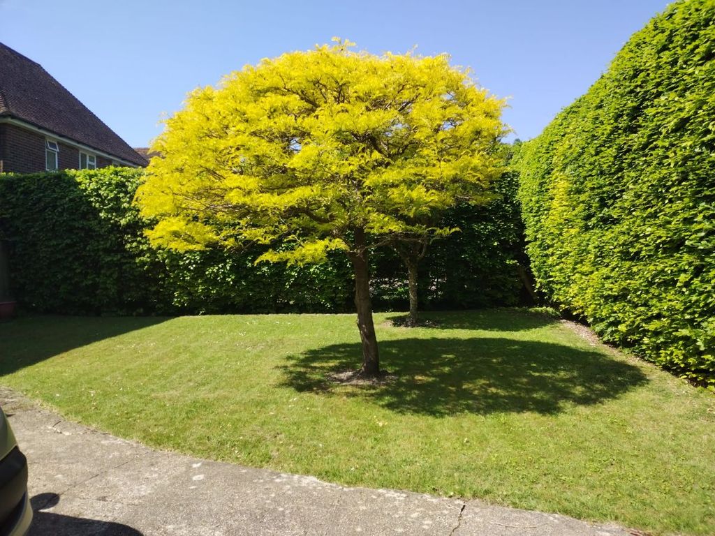 Property photo 2 of 5