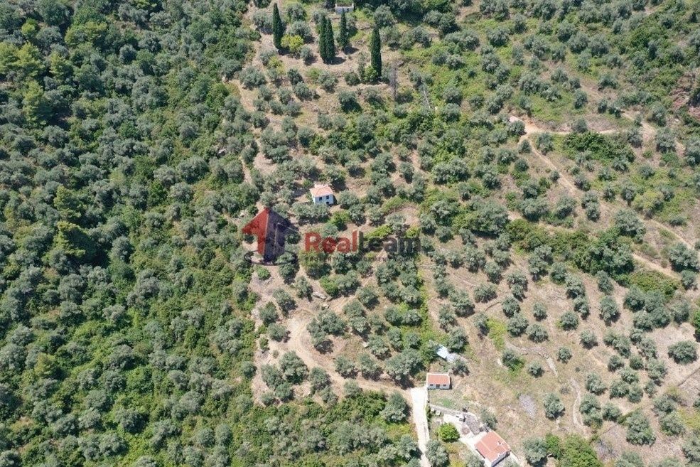 Property photo 3 of 23