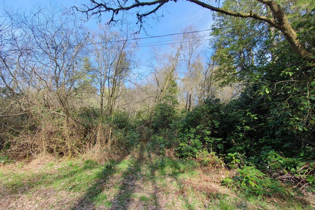 Property photo 3 of 7