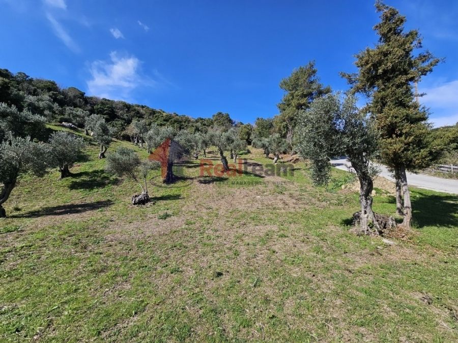 Property photo 3 of 25