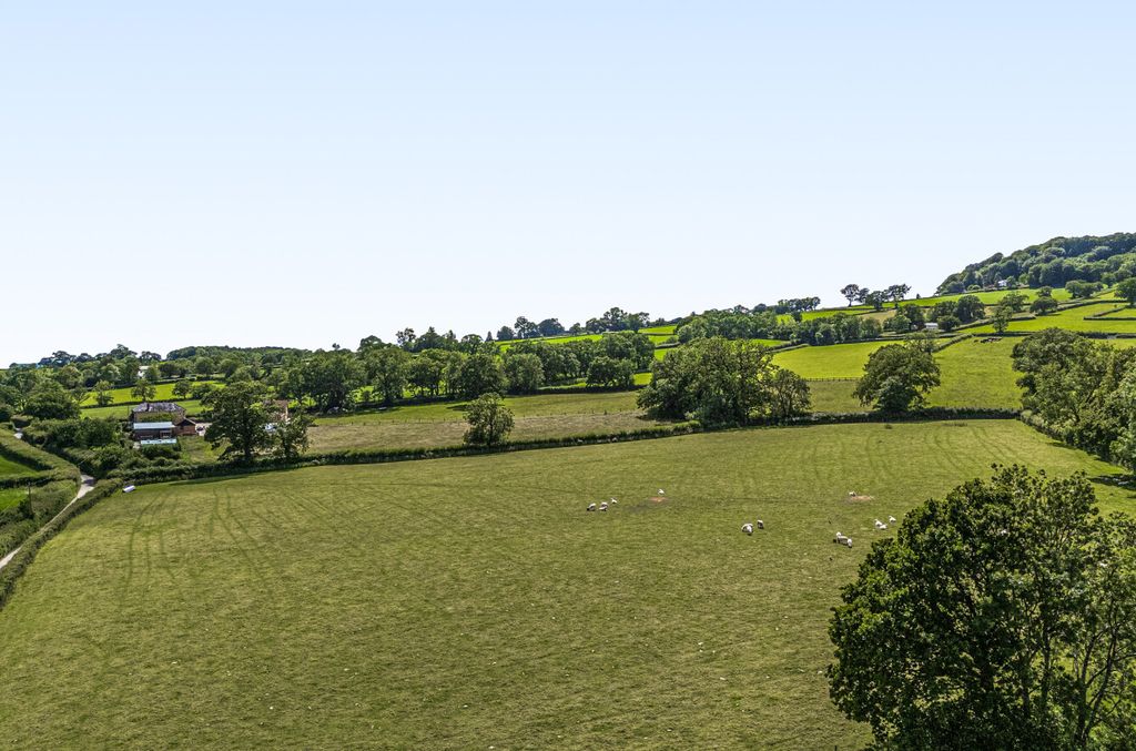 Additional image 22 of Land for saleAwliscombe, Honiton, Devon EX14