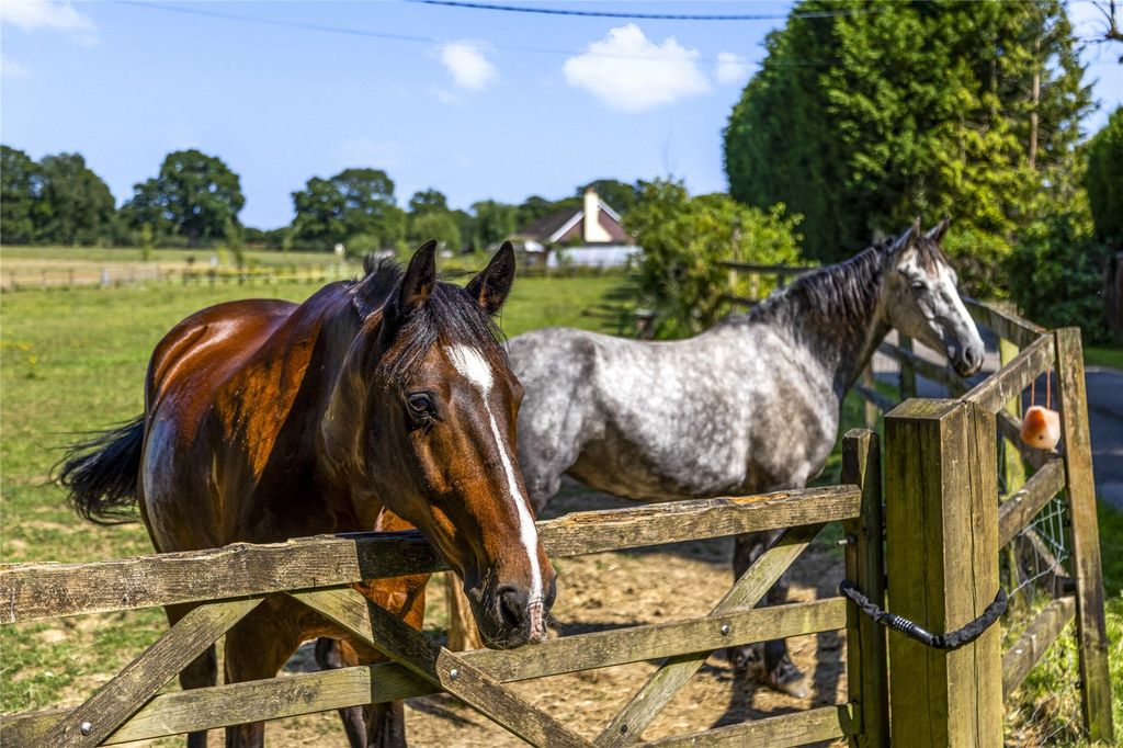 Property photo 3 of 19 Paddocks