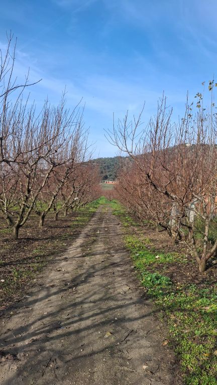 Property photo 3 of 29