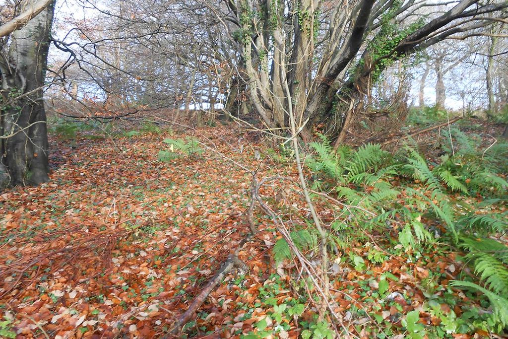 Property photo 3 of 9