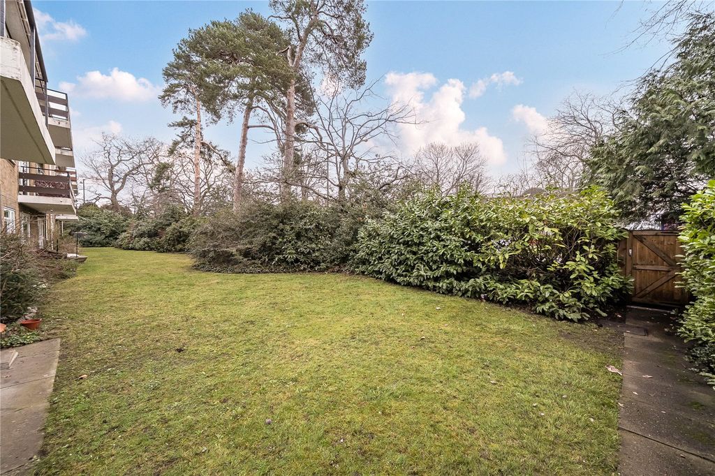 Property photo 2 of 12 Picture No. 16