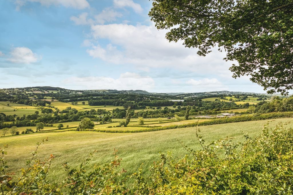 Property photo 3 of 36 Photo 4