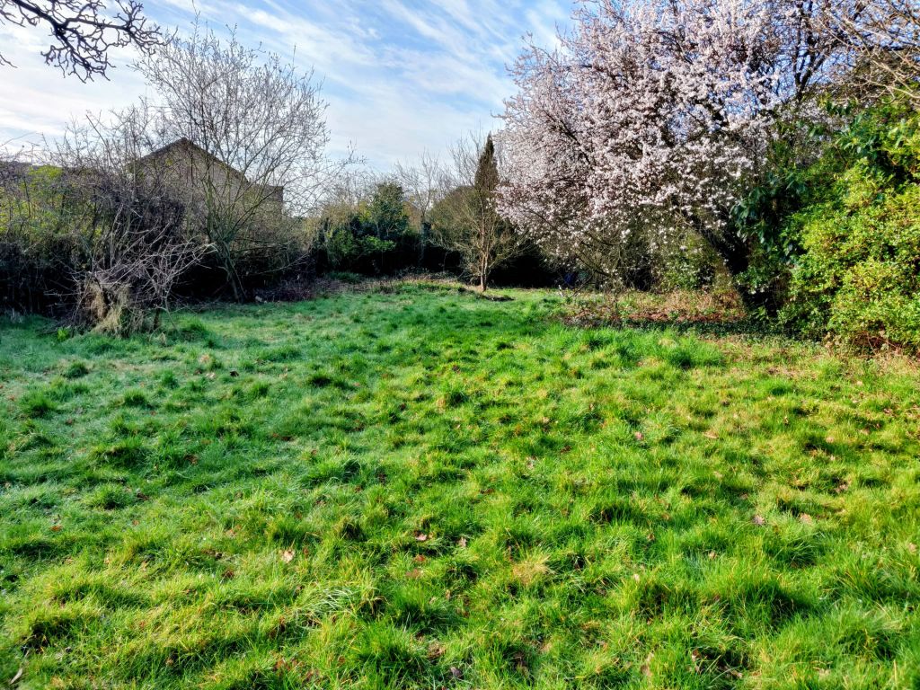 Property photo 1 of 10 Photo-2026-03-03-09-45-04 2