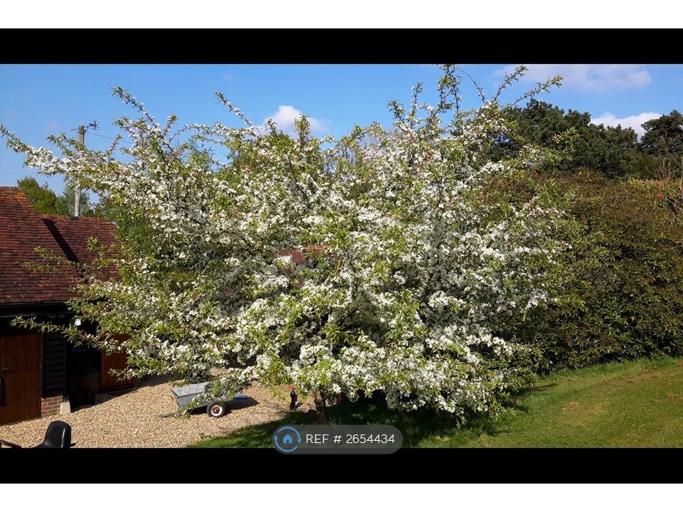 Property photo 2 of 8 Spring Time View From Cottage