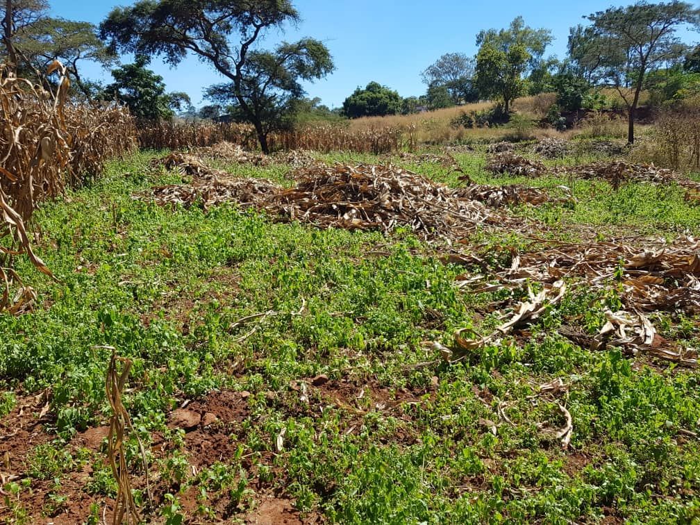 Property photo 3 of 10