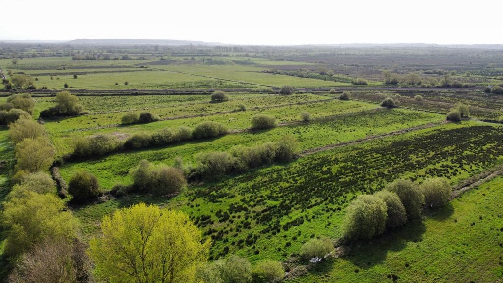 Property photo 1 of 16 Picture No. 08