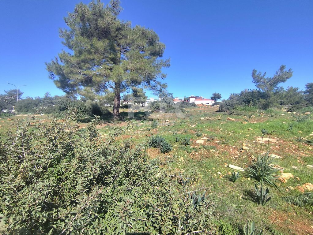 Property photo 1 of 1 Prime Residential Land For Sale – Pyrgos Tourist Area, Limas