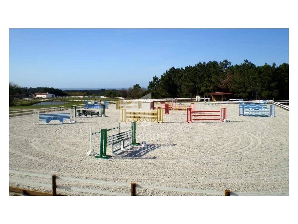 Property photo 1 of 20 Equestrian Farm With Local Accommodation, Overflowing Swimming Pool And 7 Hectares Of Land