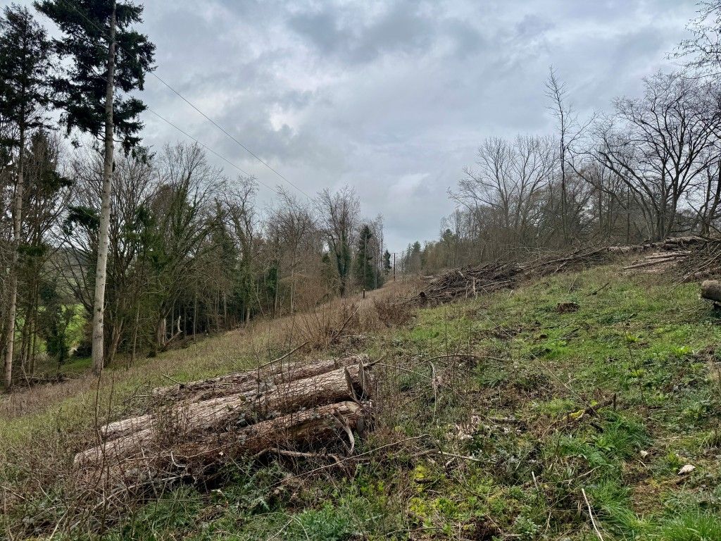 Property photo 2 of 5 View Of North Section Of Land