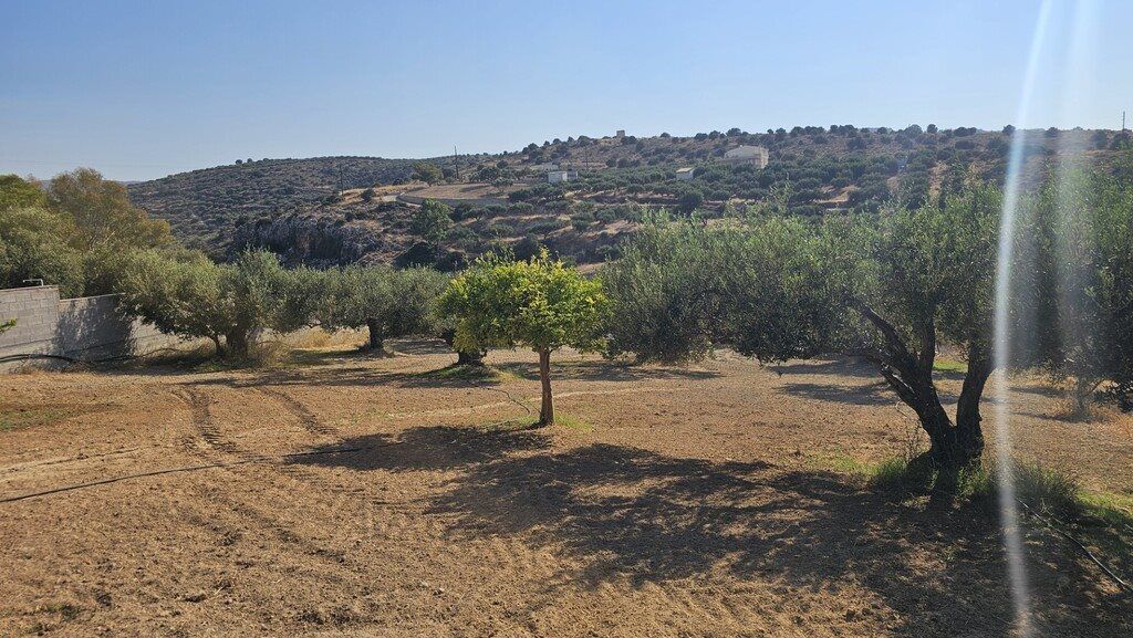Property photo 1 of 12 For Sale Land 1124 m² In Crete
