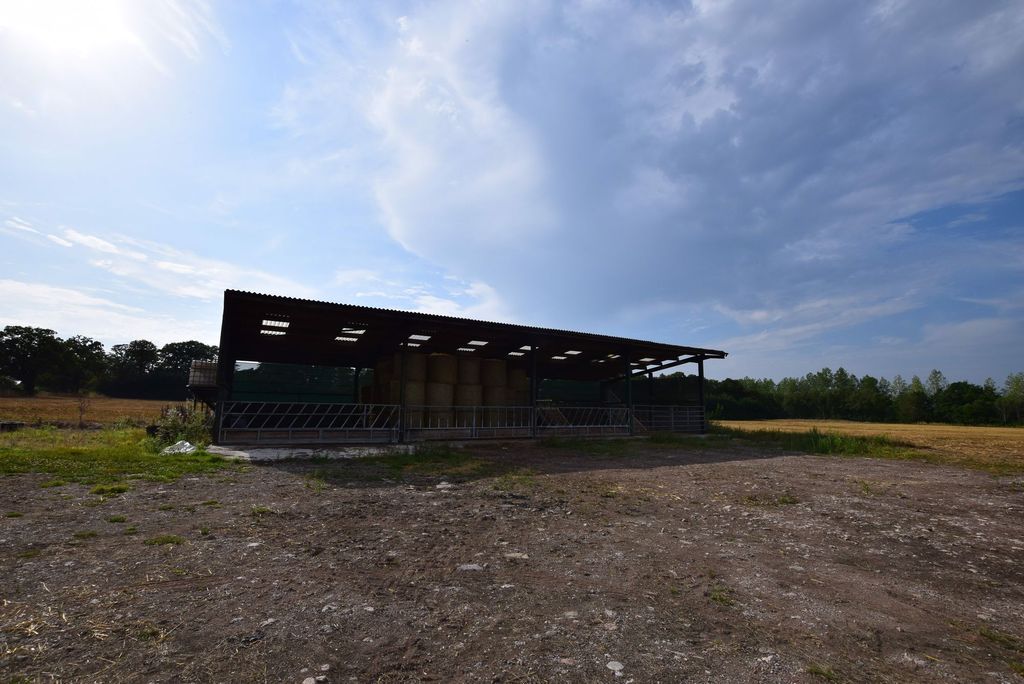 Property photo 2 of 9 Photo 9