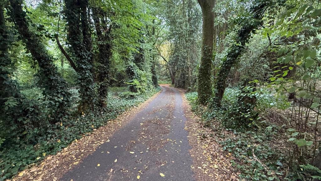 Property photo 2 of 6 Outside Image Of Woods With Road