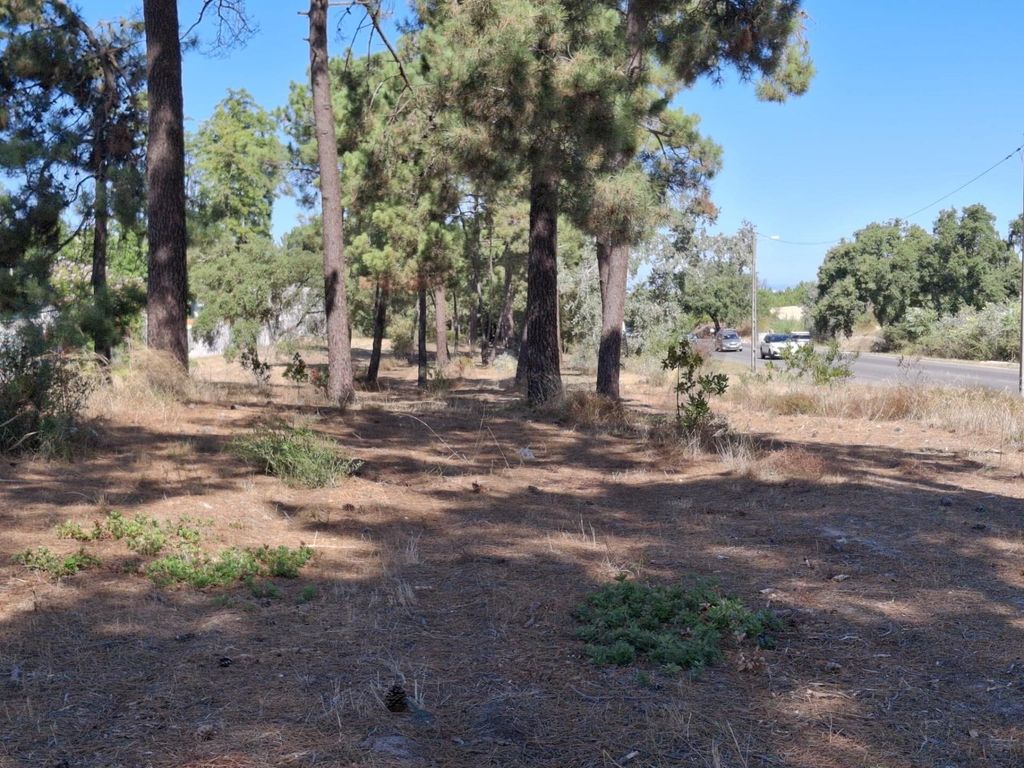 Property photo 1 of 7 Unique Investment Opportunity — Land Plots In Pinhal De Negreiros