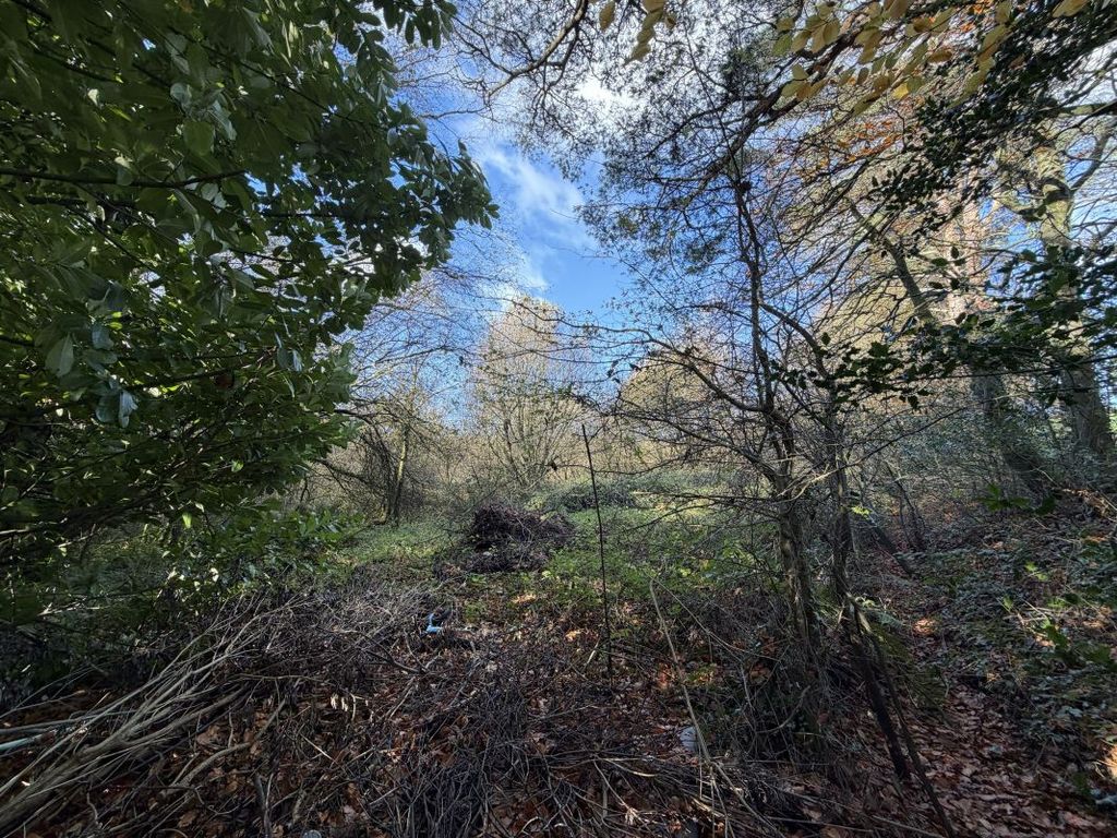 Property photo 3 of 4