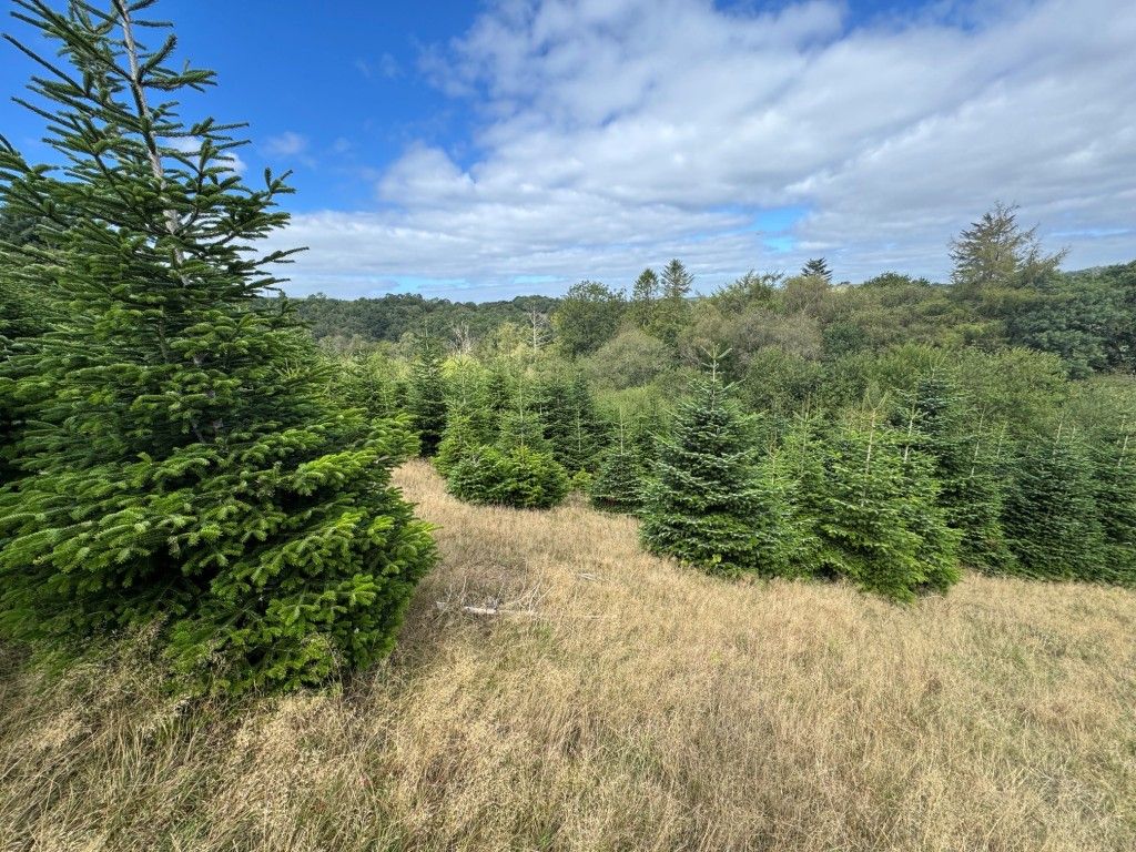 Property photo 3 of 9 General View Of The Plantation 3