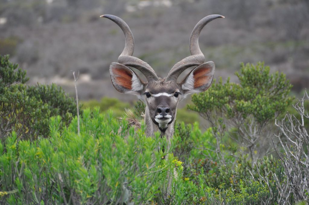 Property photo 1 of 67 La1679498