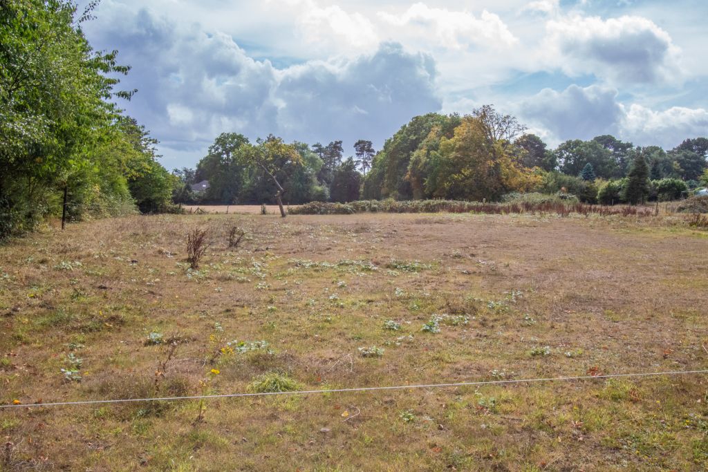 Property photo 2 of 19 Paddock