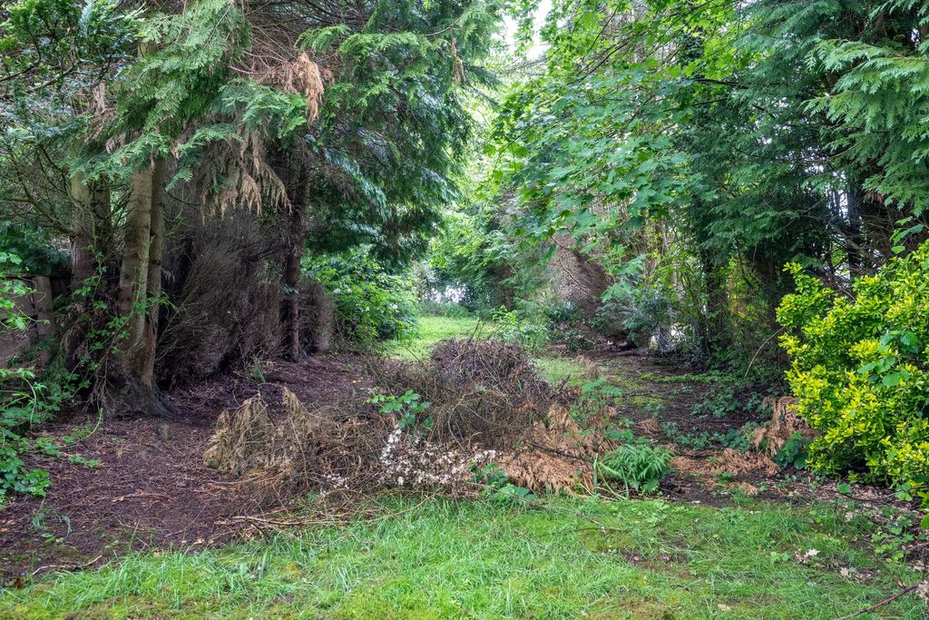 Property photo 3 of 18 Photograph 3