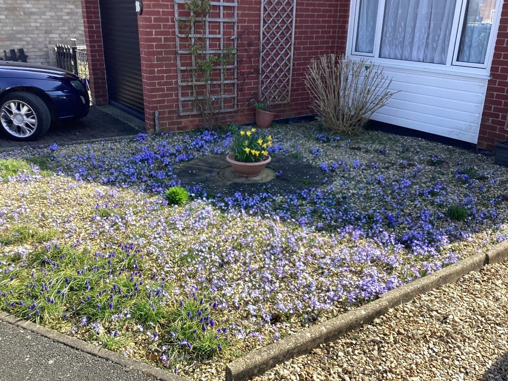 Property photo 3 of 21