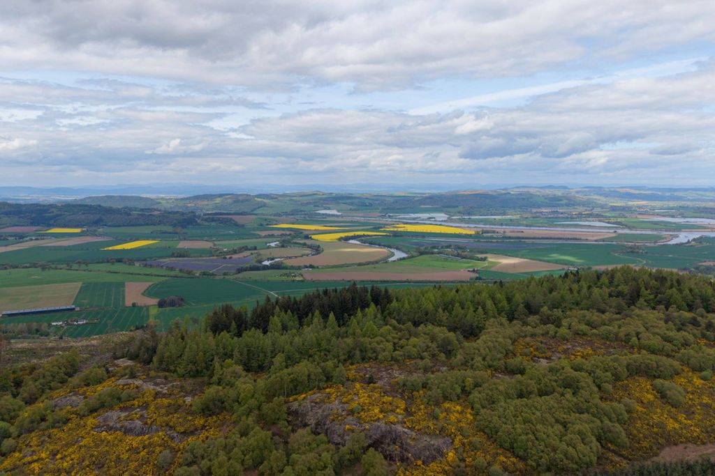 Additional image 11 of Land for saleNorth Of Drumcairn Farm, Abernethy, Perthshire PH2