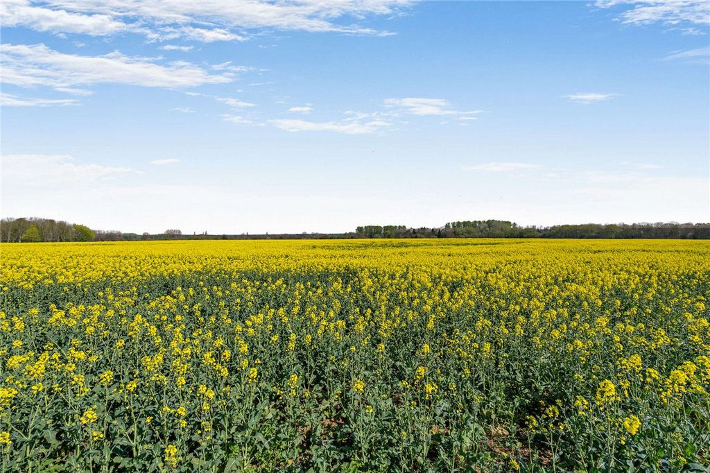 Property photo 2 of 7 Picture No. 02