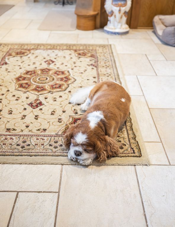 Additional image 17 of 3 bed detached house for saleLa Rue Freule, St. Ouen, Jersey JE3