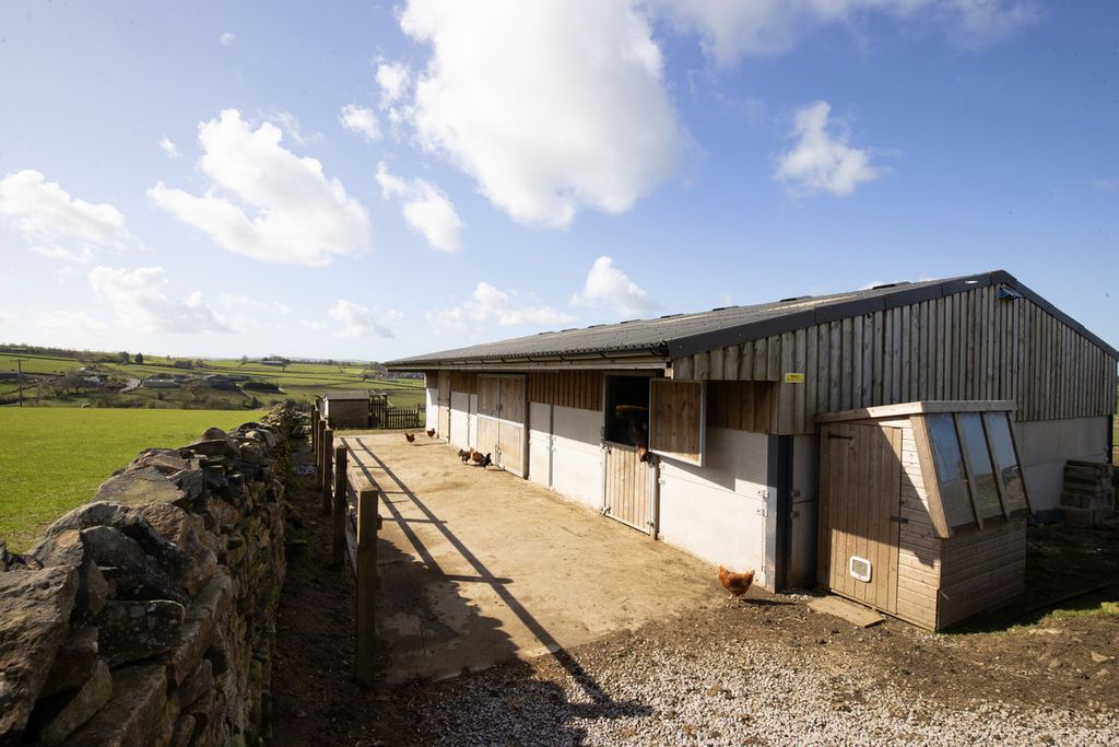 Property photo 3 of 29