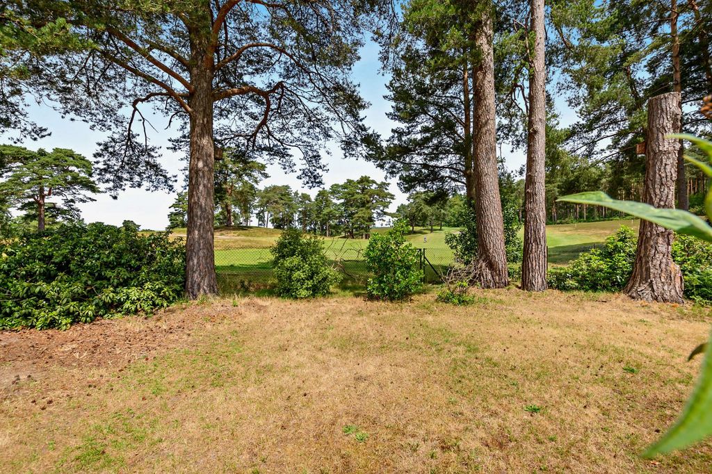 Property photo 3 of 15 Garden