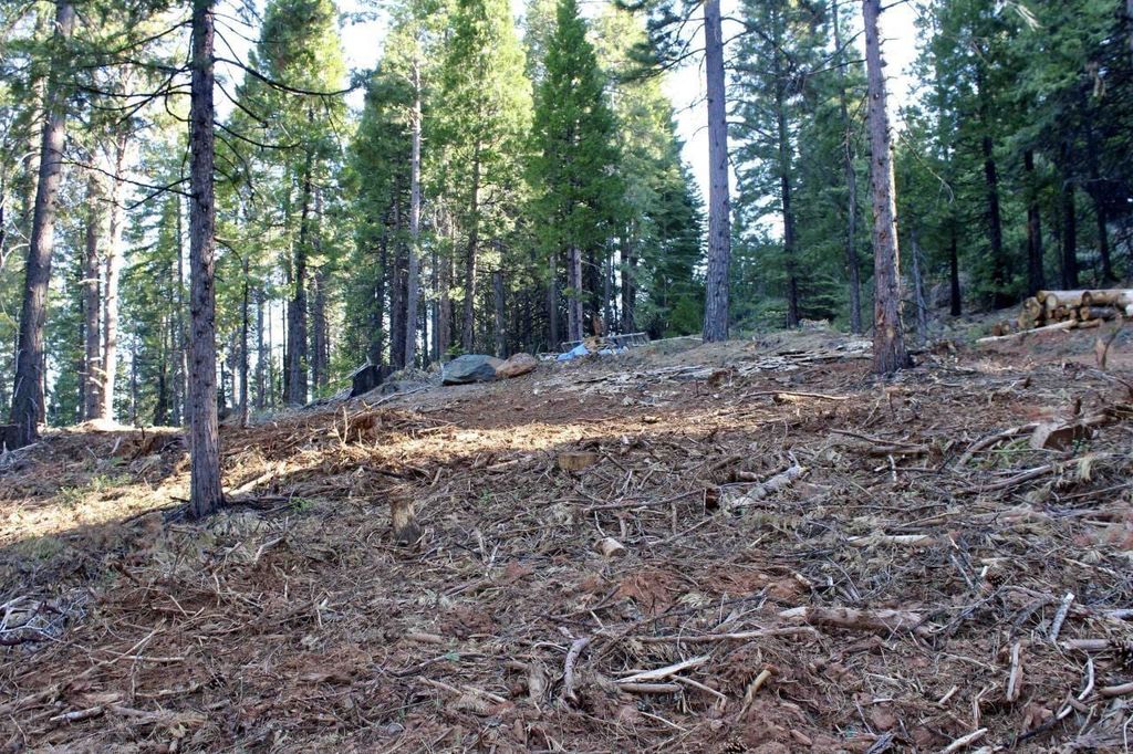 Property photo 3 of 23 <Alttext/>