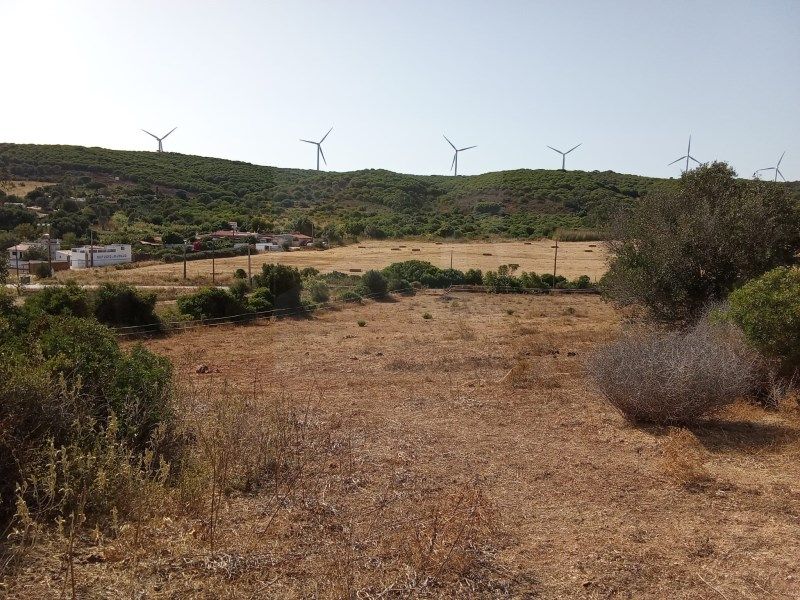 Property photo 3 of 23