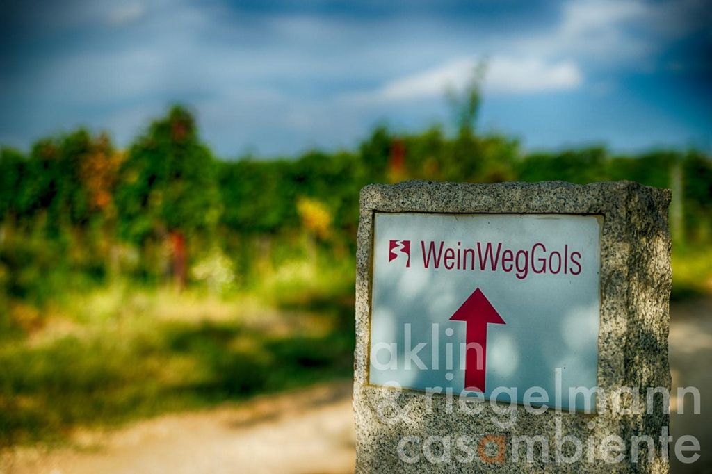Property photo 1 of 4 The Dream Of Owning An Organic Winery In One Of Europe's Most Famous Wine-Growing Regions