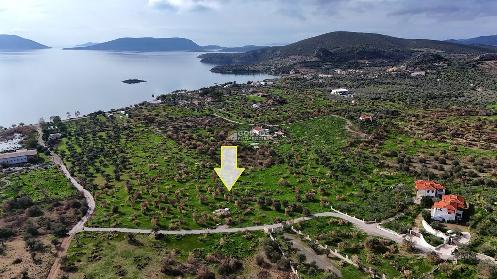 Property photo 1 of 30 - Parcel For Sale, Ermioni, 16.401,70 Sq.m., €230.000