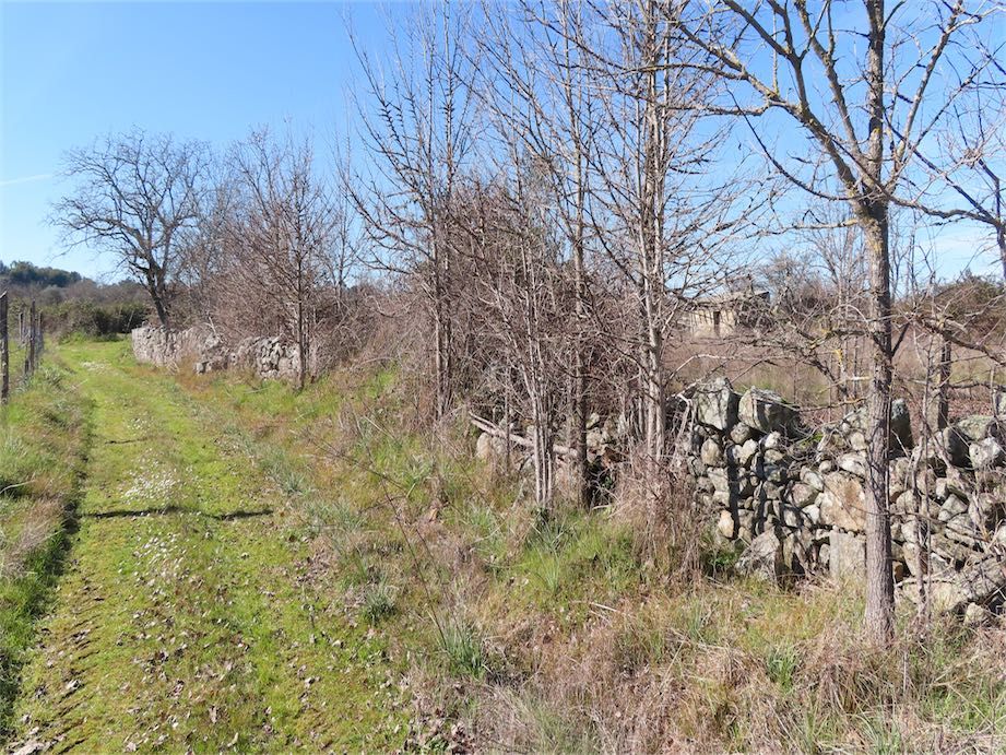 Property photo 1 of 32