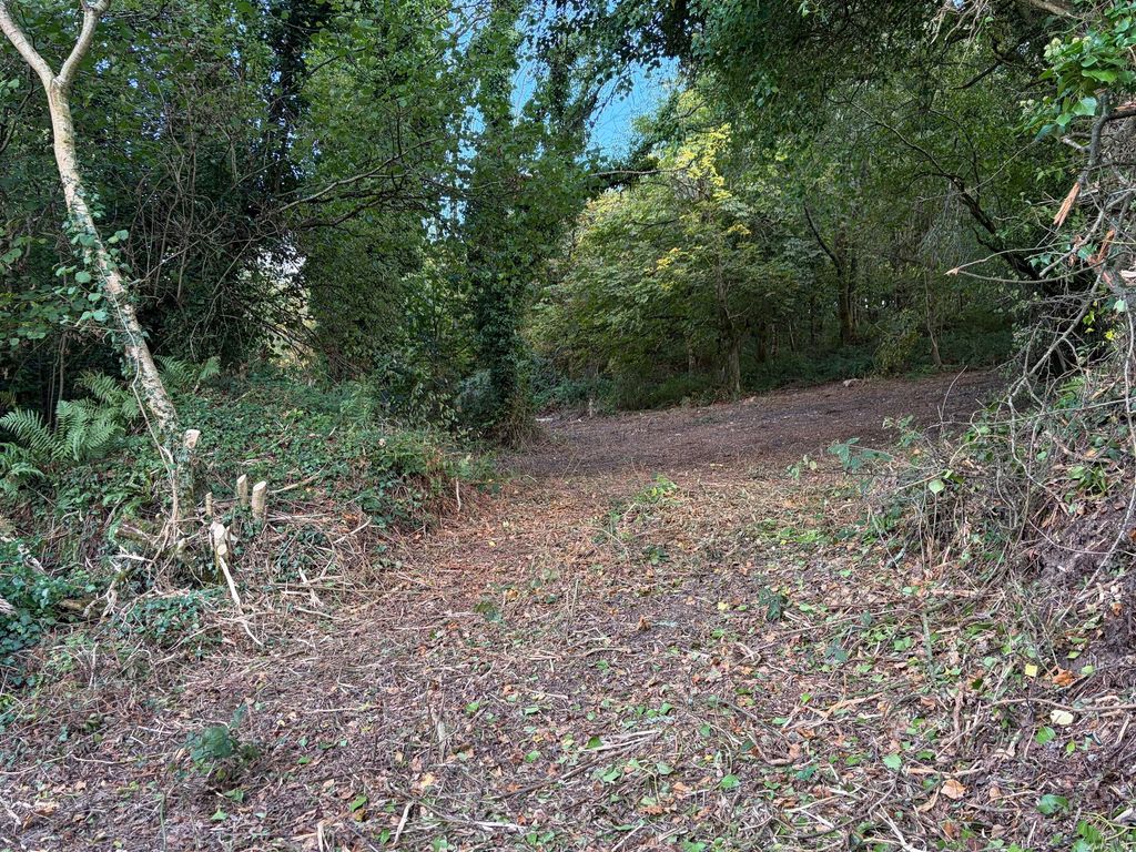 Property photo 3 of 6