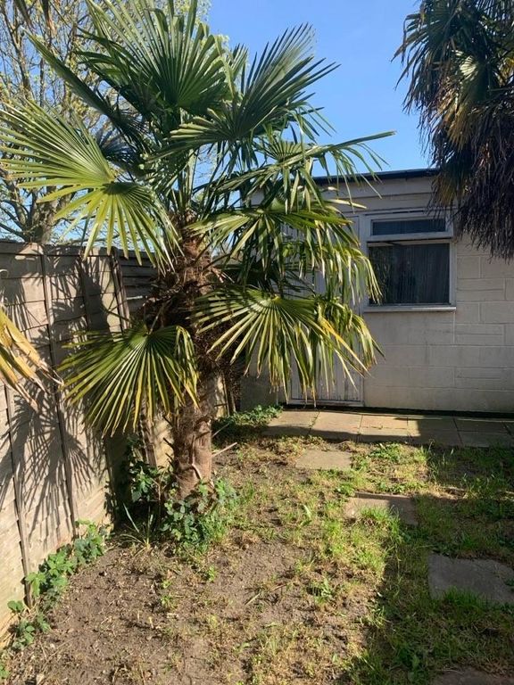Property photo 2 of 6 Garden 13 Broomfield And Palm Tree.Jpg