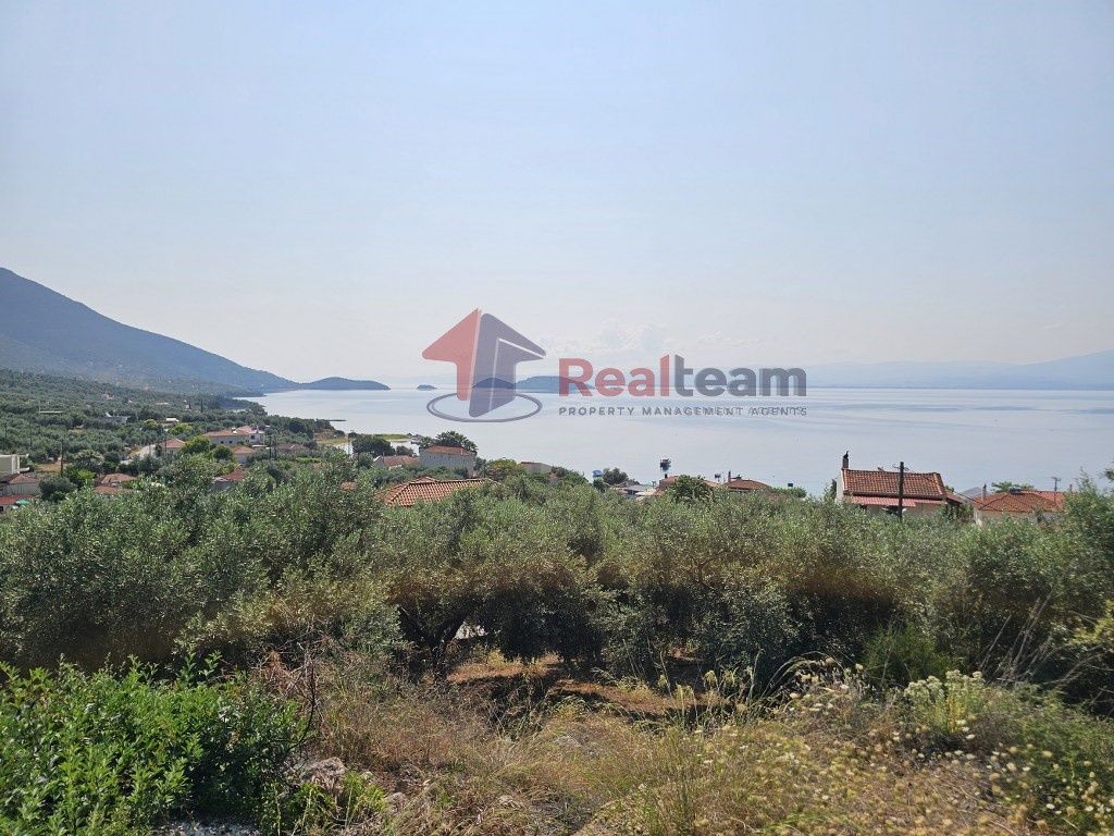 Property photo 1 of 25