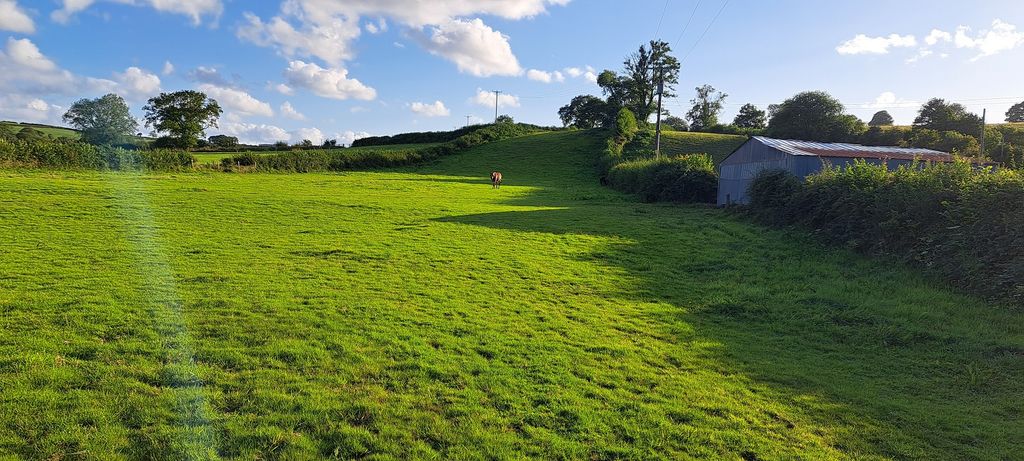 Additional image 21 of 4 bed farm for saleLlansawel, Llandeilo, Carmarthenshire. SA19