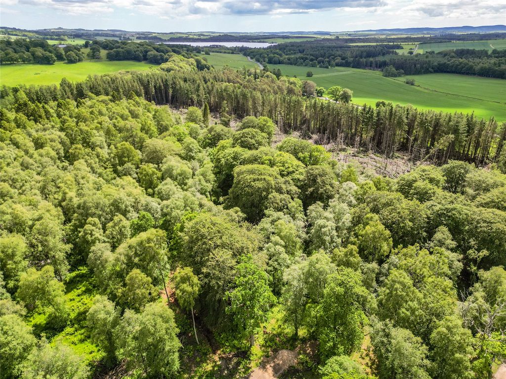 Additional image 6 of Land for saleSkene Estate (Lot 1), Dunecht, Westhill, Aberdeenshire AB32