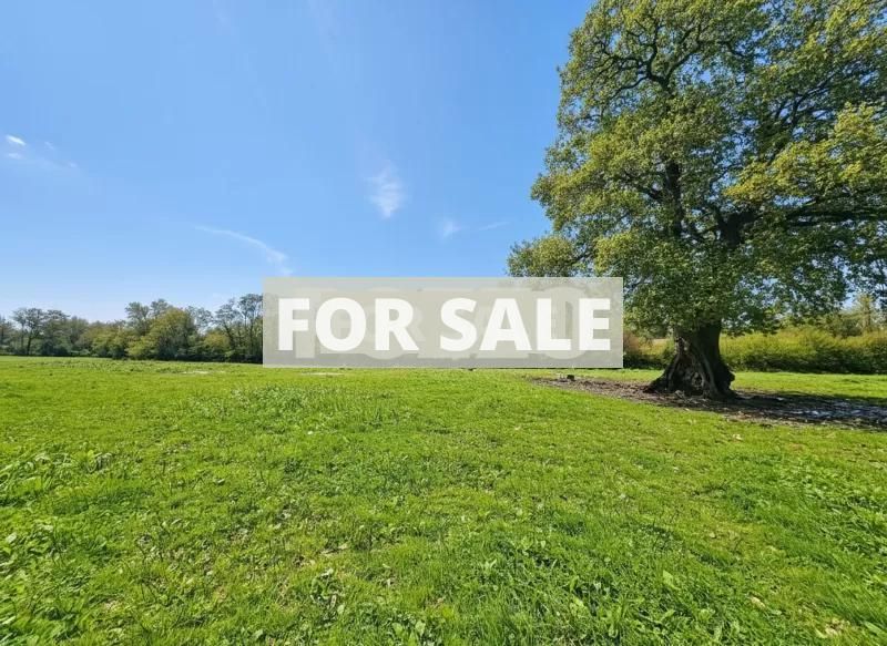 Property photo 3 of 12