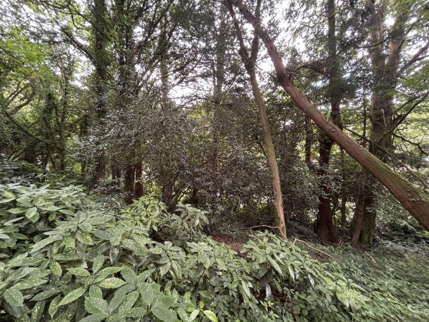 Property photo 2 of 2