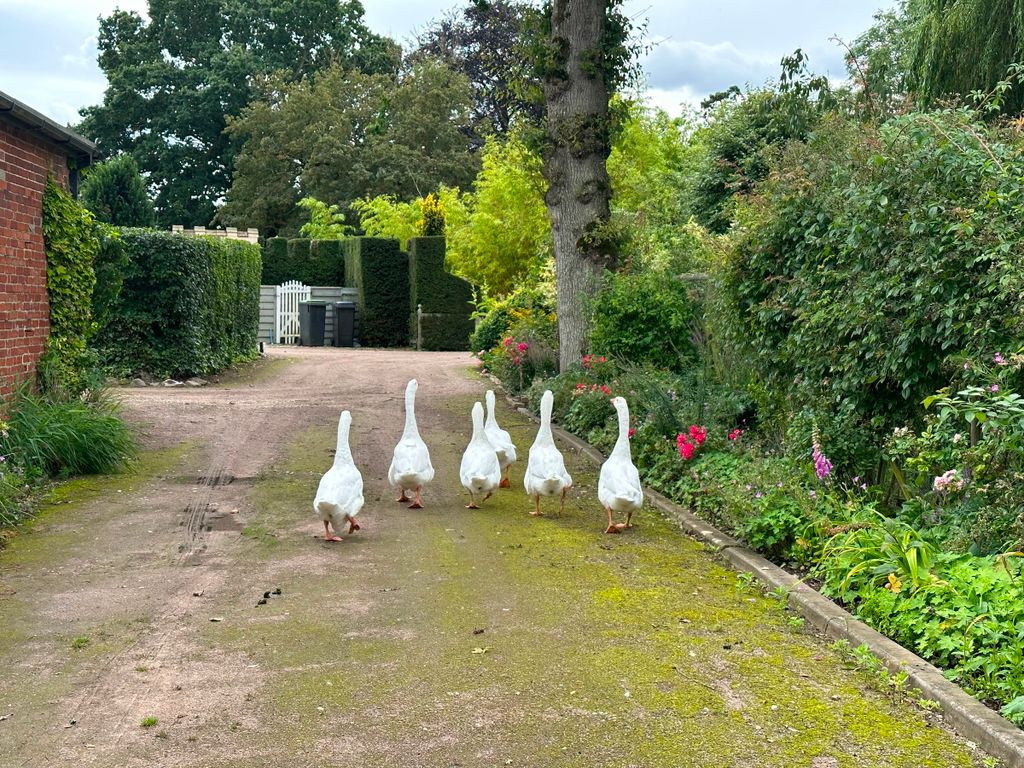 Property photo 2 of 31