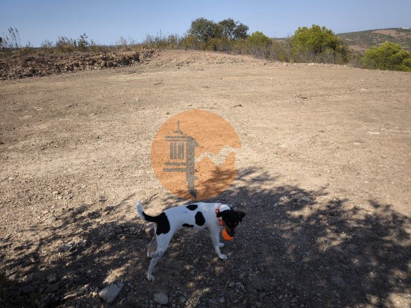 Property photo 3 of 43