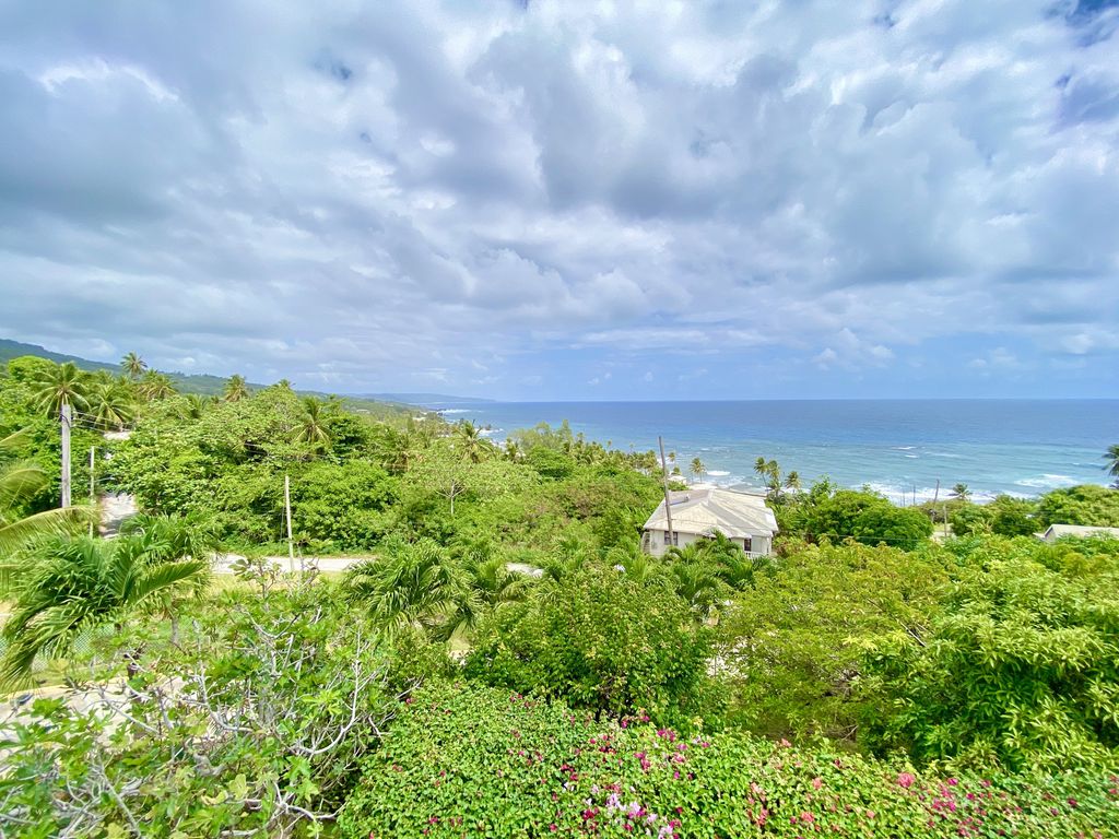 Property photo 3 of 50