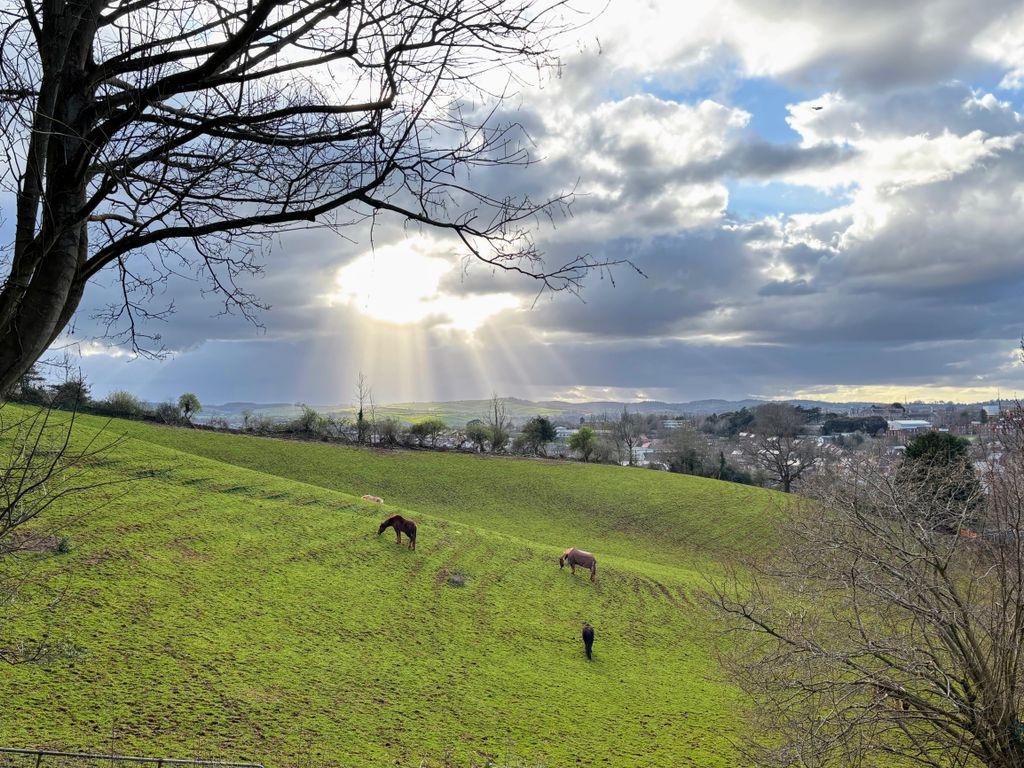 Property photo 2 of 19